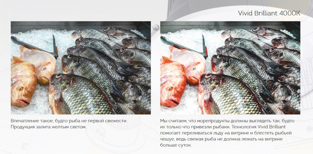 Освещение продуктов питания в магазине фото